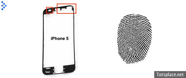 Сенсору отпечатков пальцев на iPhone 5S быть
